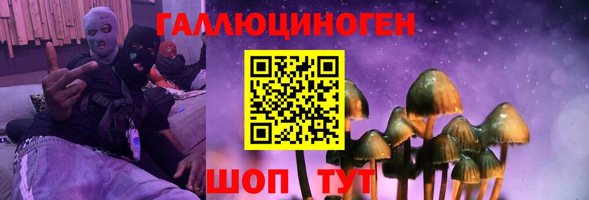 Саяногорск  Псилоцибиновые грибы прущие грибы  Вход с VPN 